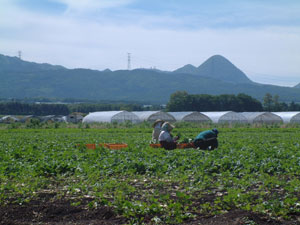 昭和村景色～赤城山と農家のおばさん