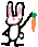 rabbit02.gif