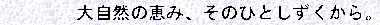 ۺ�1